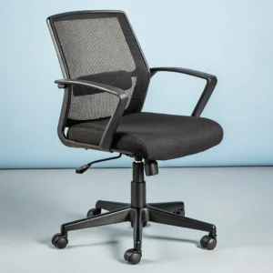 Ergonomic Office Chair